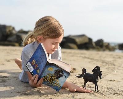 Breyer- Black Stallion Horse + Book