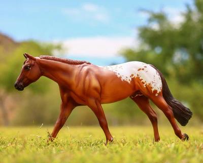 Tack 'n Togs at Midfeeds