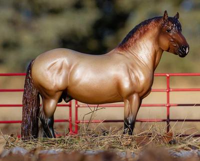 Tack 'n Togs at Midfeeds