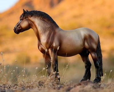 Breyer Theo