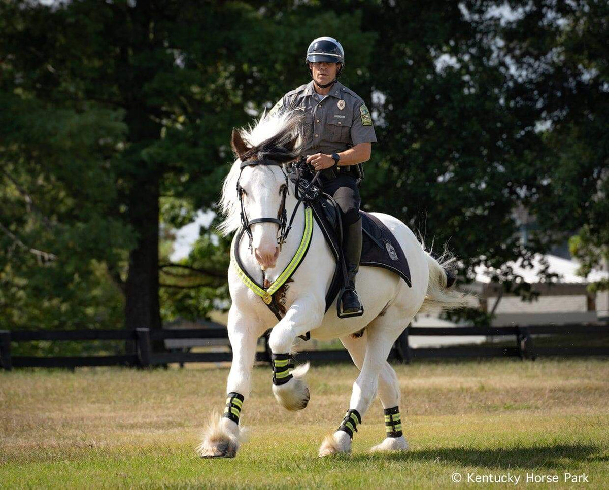 Breyer Khp Mounted Police Horse