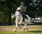 Breyer Khp Mounted Police Horse