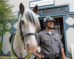Breyer Khp Mounted Police Horse