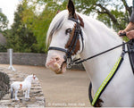 Breyer Khp Mounted Police Horse