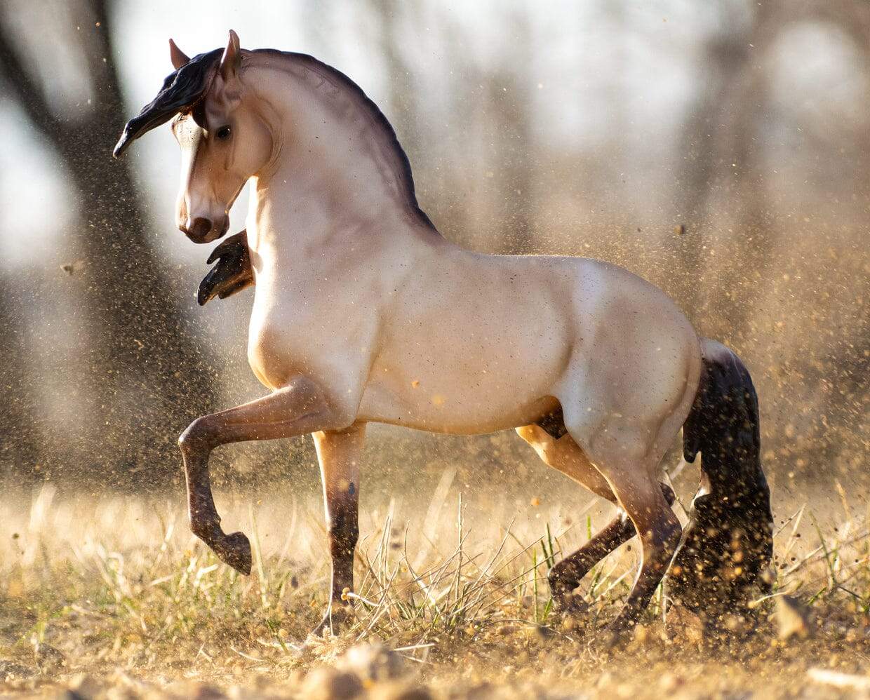 Tack 'n Togs at Midfeeds