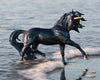 Breyer Neptune - Unicorn