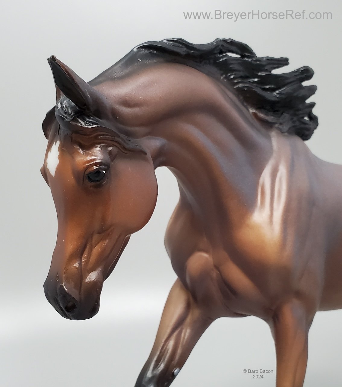 Tack 'n Togs at Midfeeds