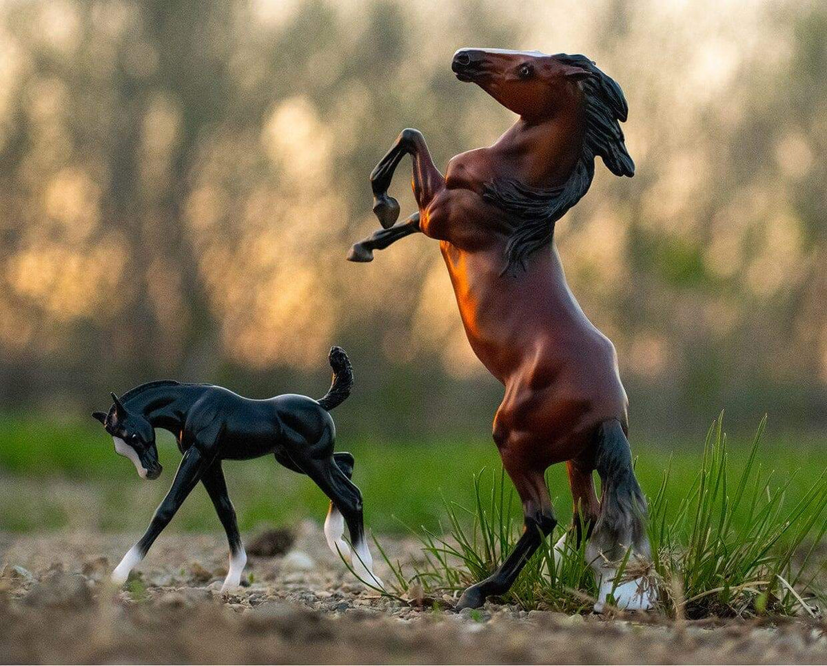 Breyer Wild & Free