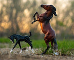 Breyer Wild & Free