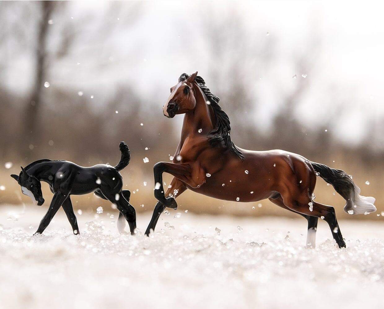 Breyer Wild & Free