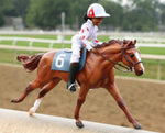 Breyer Cheryl White & Jetolara