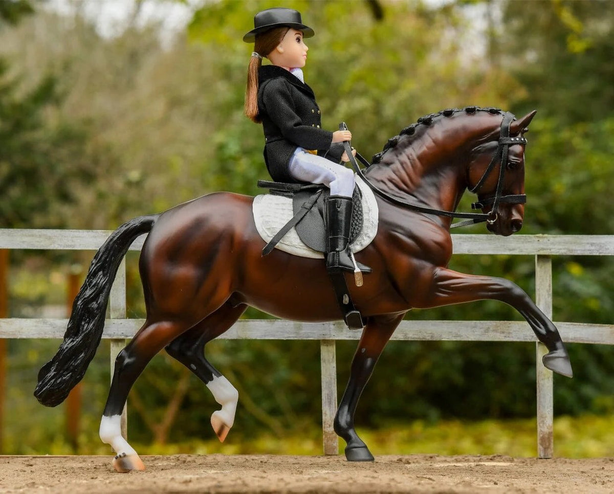 Breyer Salvino