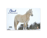 Breyer Cloud 30th