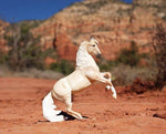 Breyer Cloud 30th