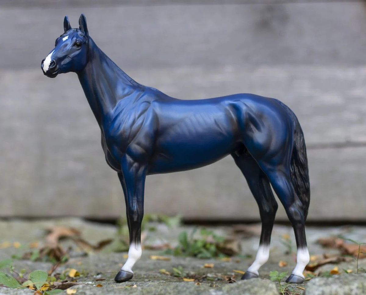 Breyer Bix Lex