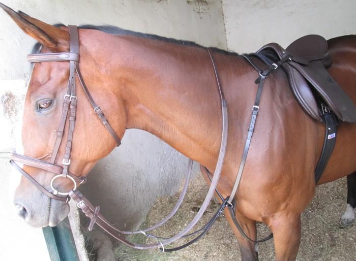 Breastplate Y-Type Brown