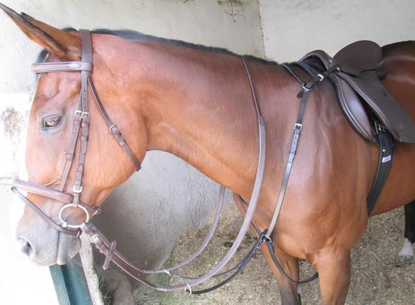 Breastplate Y-Type Black