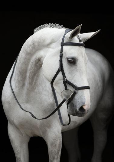 Competition Black Rambo Micklem Bridle
