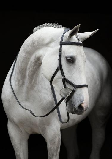 Competition Pony Black Rambo Micklem Bridle