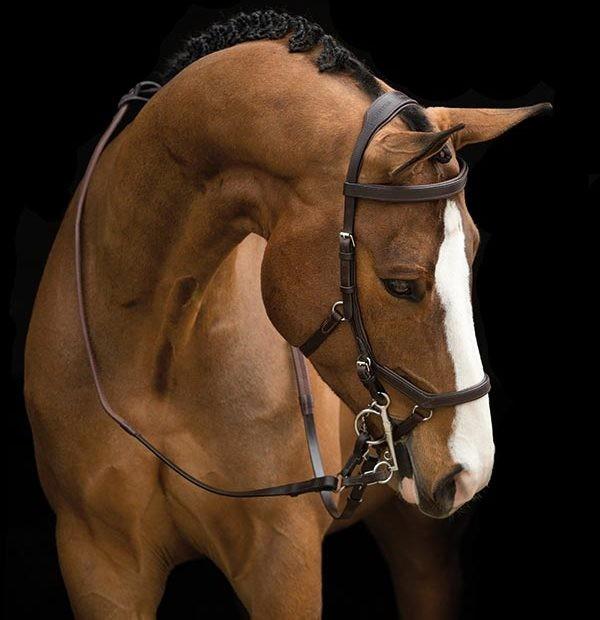 Competition Brown Rambo Micklem Bridle