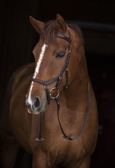 Competition Brown Rambo Micklem Bridle