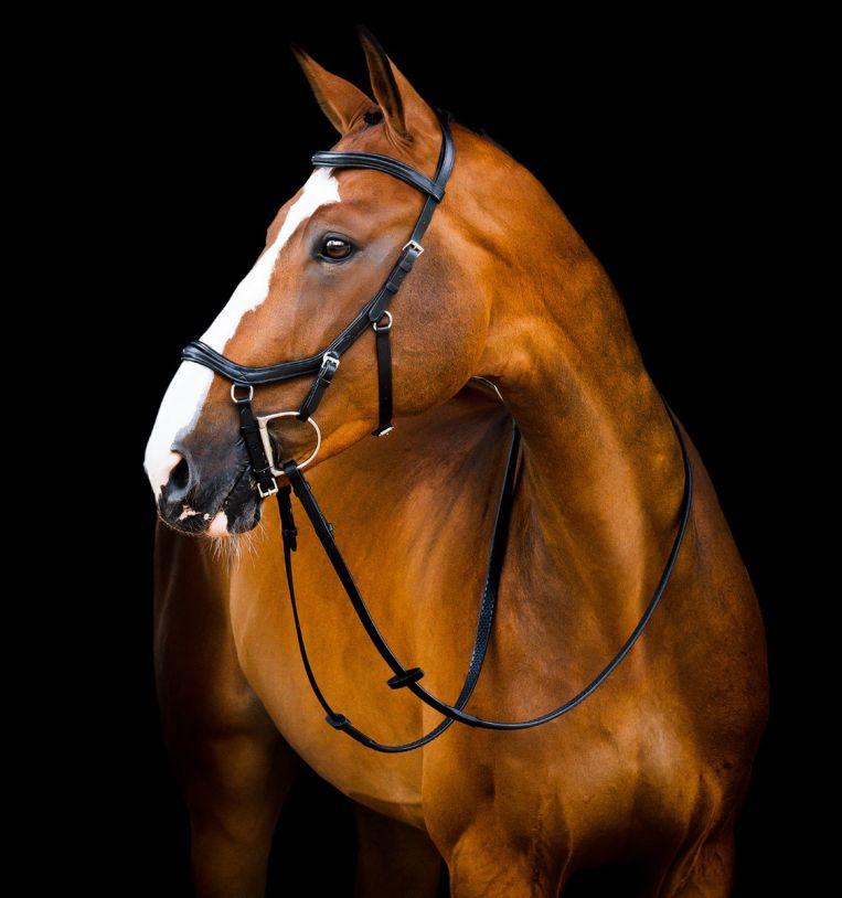 Competition  Black Deluxe Rambo Micklem Bridle