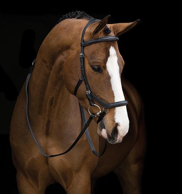 Competition Full Brown Deluxe Rambo Micklem Bridle