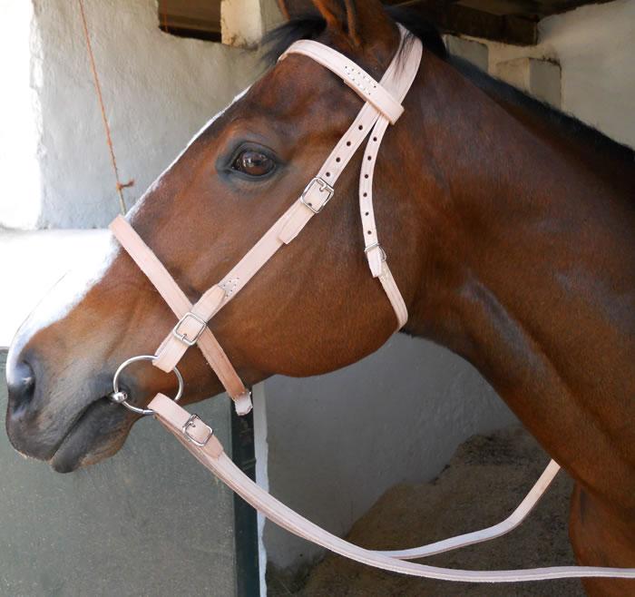 Farm Bridle