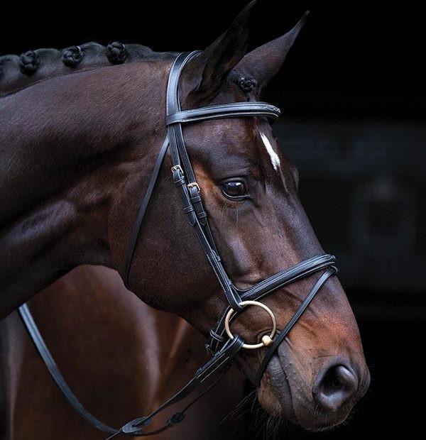 Pony Brown Deluxe Amigo Bridle