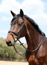Black Padded Removable Flash Bridle TNT