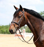 Brown Raised & Stitched Flash Bridle Tnt
