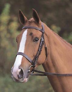 Brown Flat Cavesson Bridle
