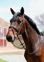 Chestnut Fancy Raised & Stitched Flash Bridle