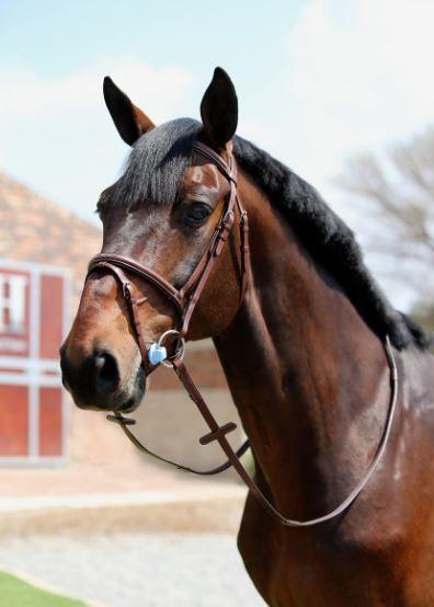 Chestnut Fancy Raised & Stitched Flash Bridle
