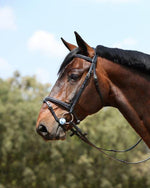 Black Padded Removable Flash Bridle TNT