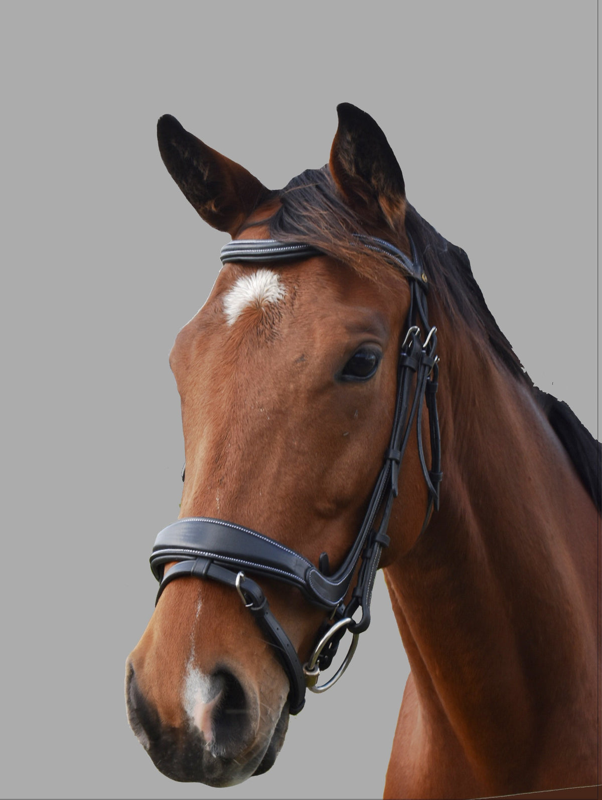 Indiana Anatomical Padded  Bridle Brown