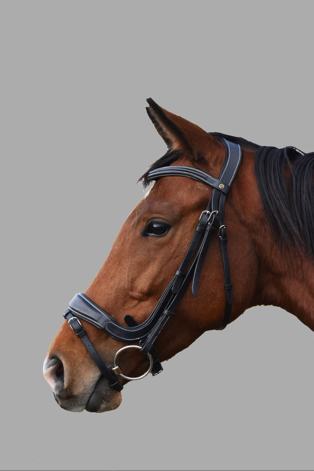 Indiana Anatomical Padded  Bridle Brown