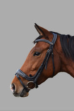 Indiana Anatomical Padded  Bridle Brown