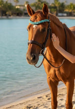 Equos Lagune Browband