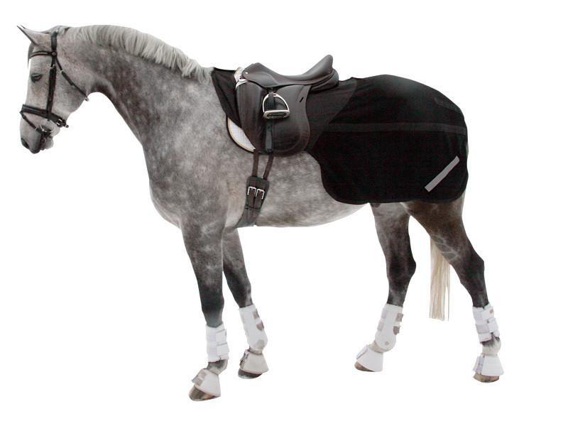 Back On Track Exercise Rug