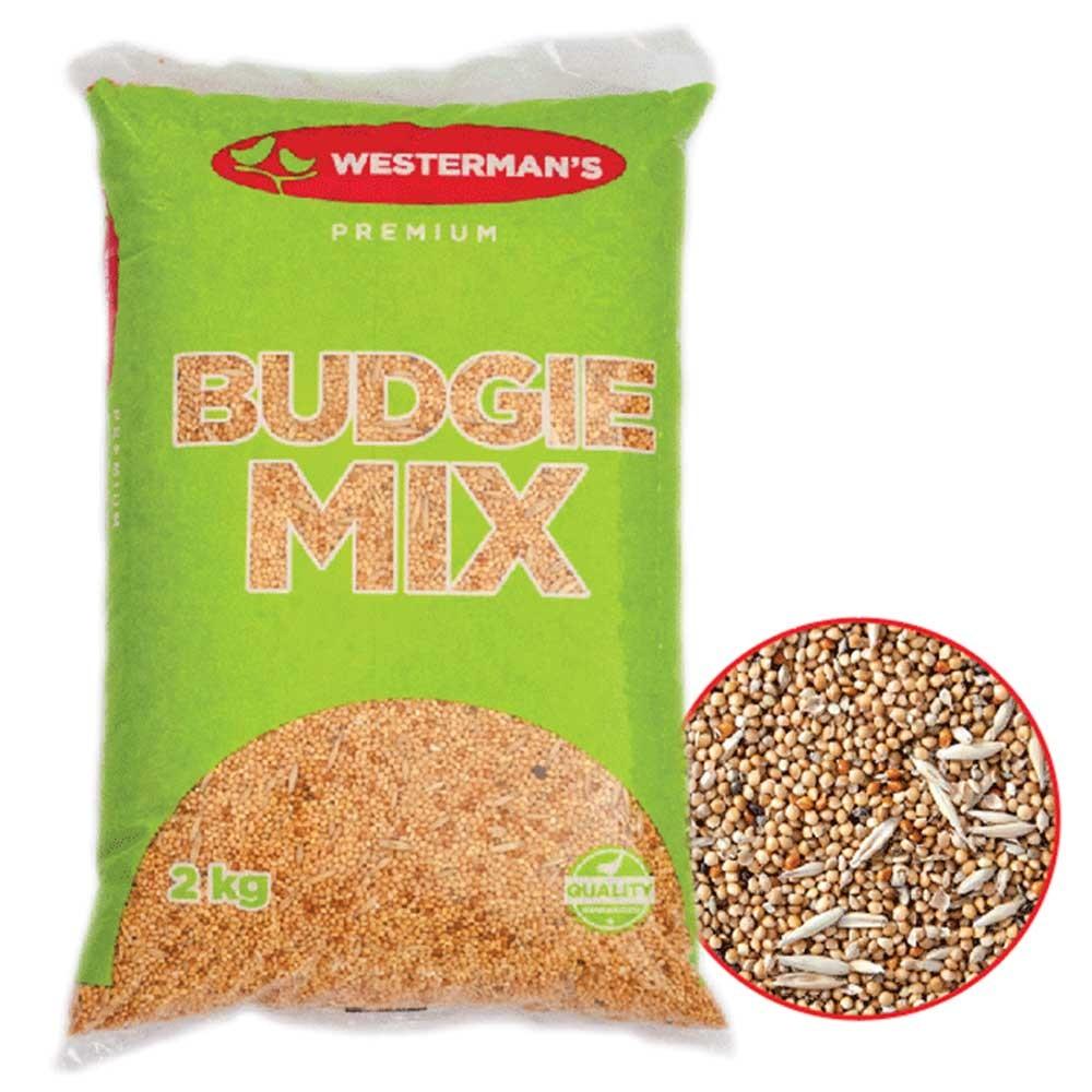 Budgie Mix WESTERMAN'S