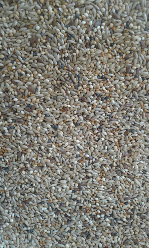 Canary Mix 10Kg