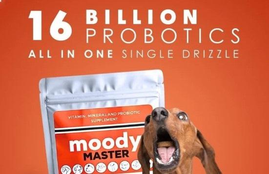 MOODY MASTER VITAMIN, MINERAL & PROBIOTIC 200G