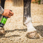 Carr Day & Martin Stainmaster 500ml