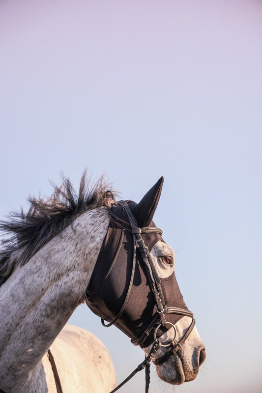 Equus Ferus Compression Hood With Ears