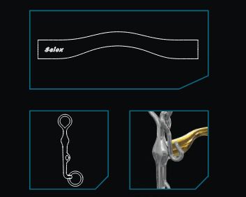 Neue Schule Aachen Weymouth