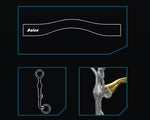 Neue Schule Aachen Weymouth