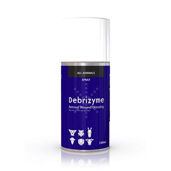 DEBRIZYME SPRAY 150ML