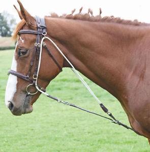 Black Degogue Training Aid