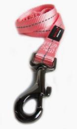 Dogs Life Webbing Leash Lrg